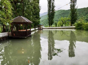 Houses around the lake